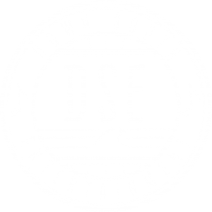 DSE Logo